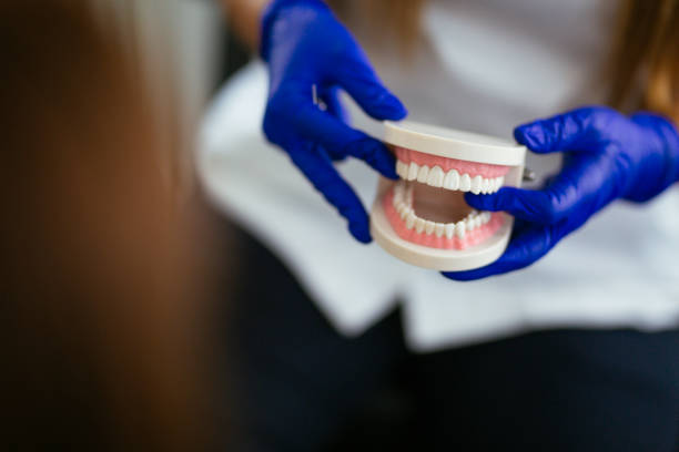 Best Traditional Braces  in Canfield, OH